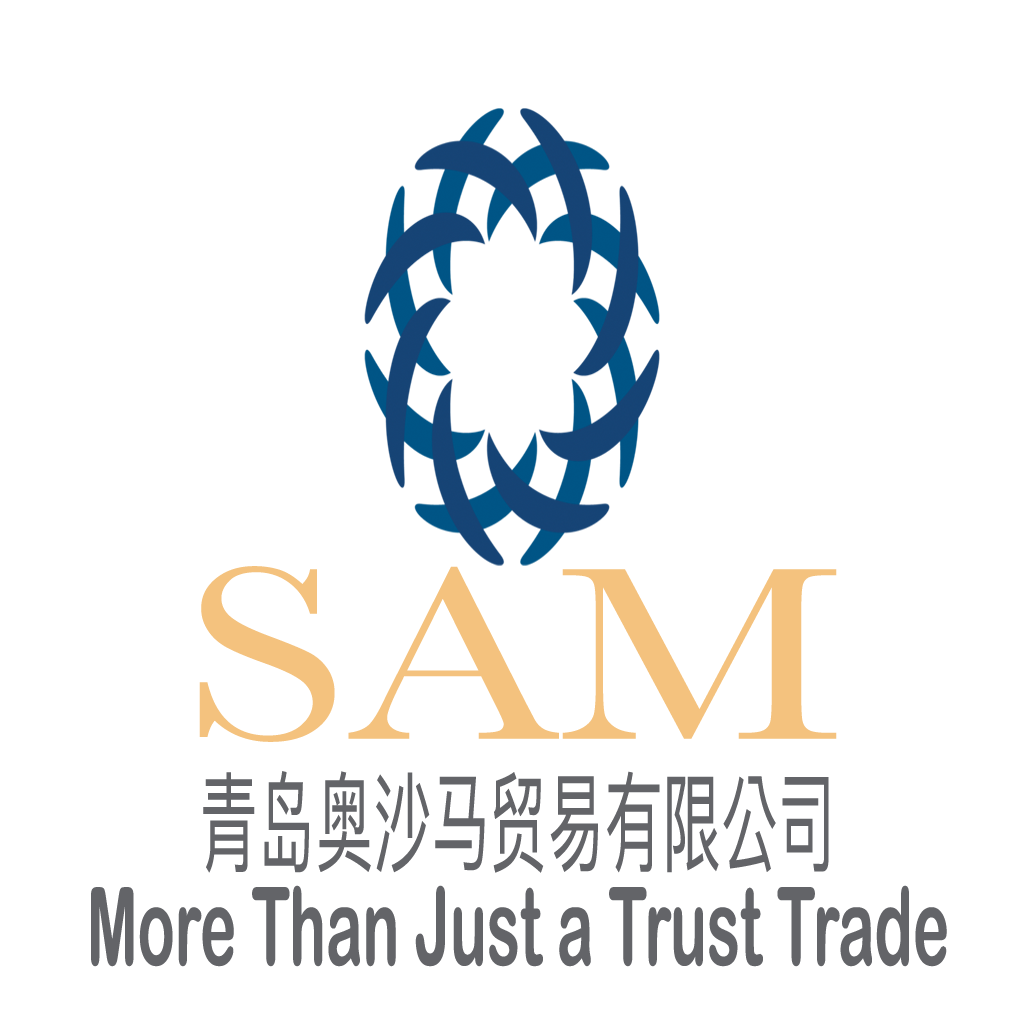 logo 21